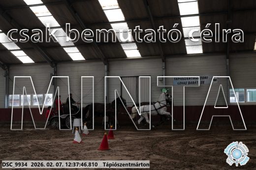 Mintakép 20260207-163