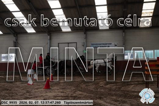 Mintakép 20260207-164