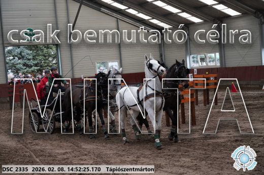 Mintakép 20260208-185