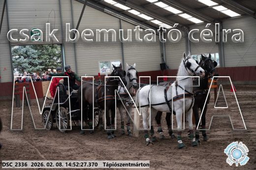 Mintakép 20260208-186
