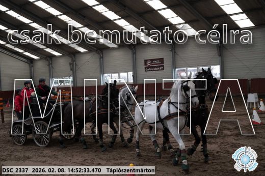 Mintakép 20260208-187