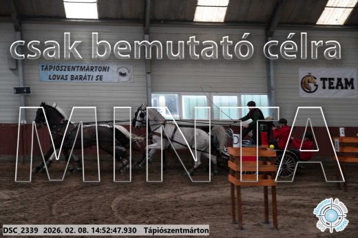 Mintakép 20260208-189