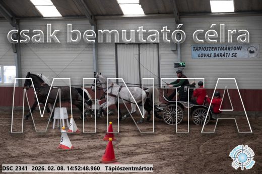 Mintakép 20260208-191