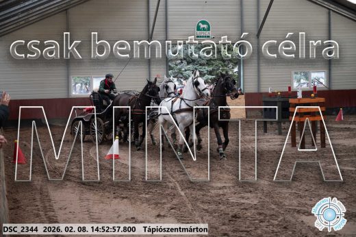 Mintakép 20260208-194