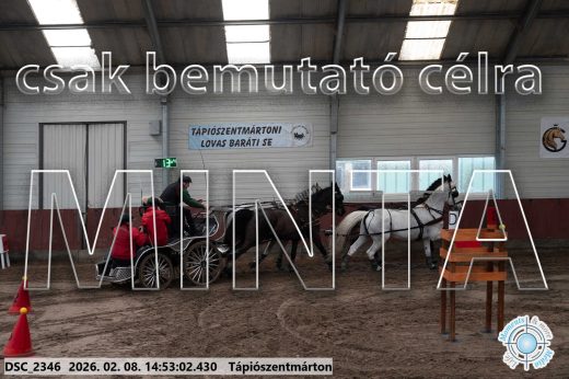 Mintakép 20260208-196