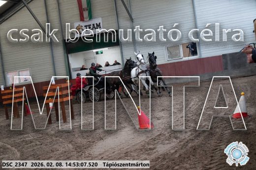 Mintakép 20260208-197