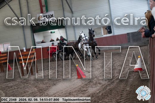 Mintakép 20260208-198