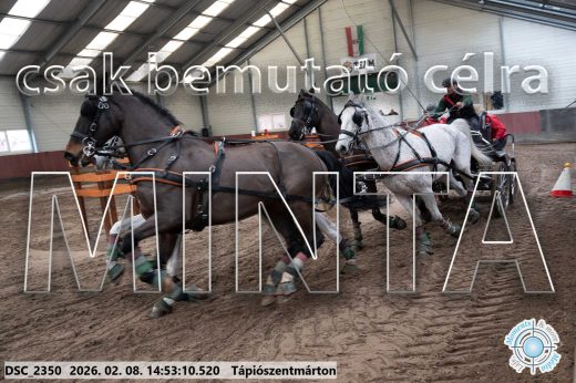 Mintakép 20260208-200