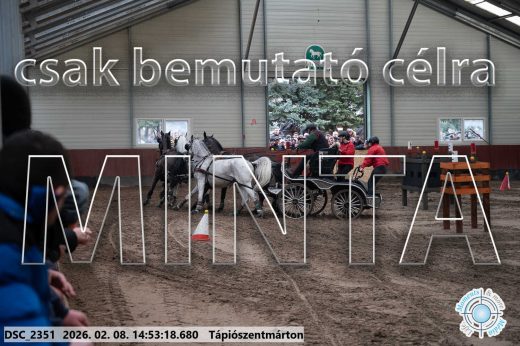 Mintakép 20260208-201