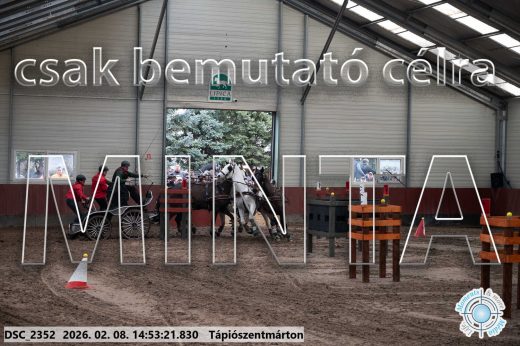 Mintakép 20260208-202