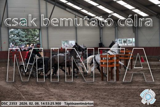 Mintakép 20260208-203