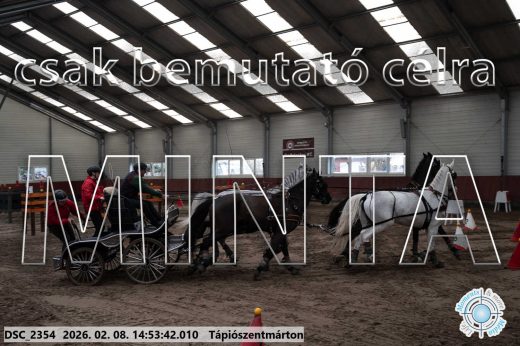 Mintakép 20260208-204