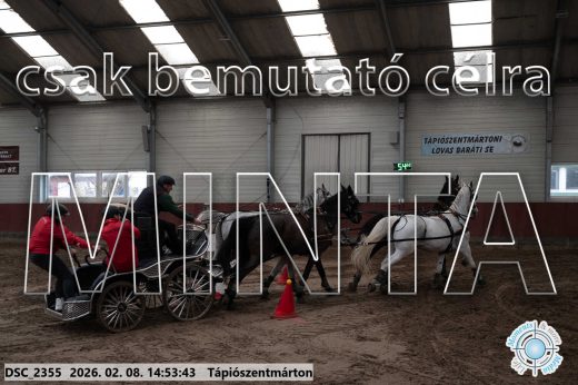 Mintakép 20260208-205