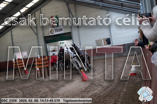 Mintakép 20260208-206