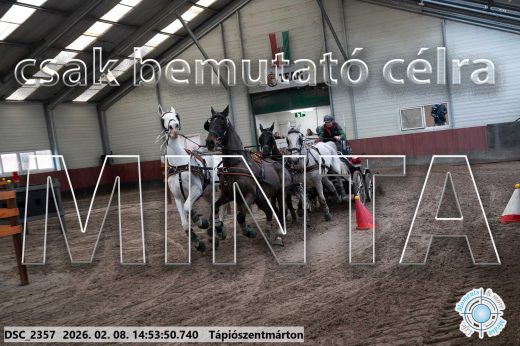 Mintakép 20260208-207
