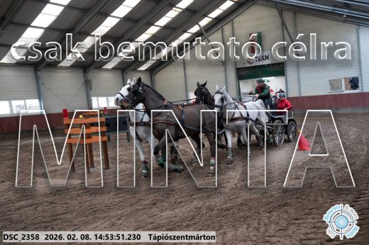 Mintakép 20260208-208