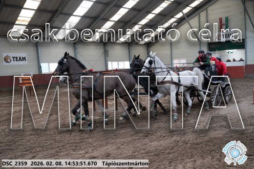 Mintakép 20260208-209