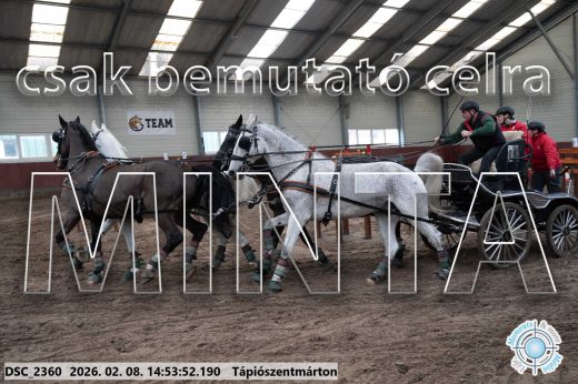 Mintakép 20260208-210