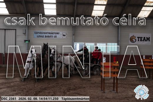 Mintakép 20260208-211