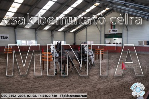 Mintakép 20260208-212