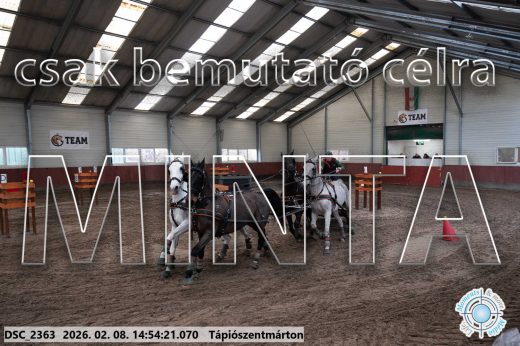 Mintakép 20260208-213
