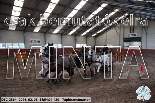 Mintakép 20260208-214