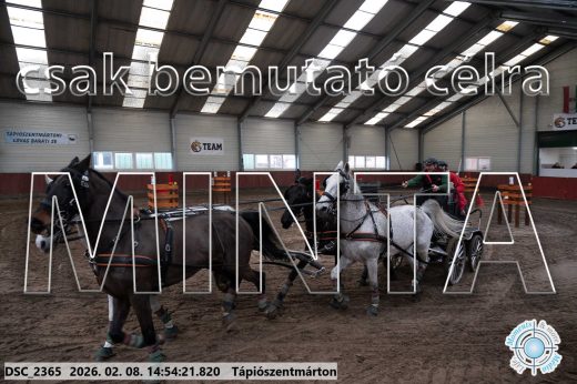 Mintakép 20260208-215