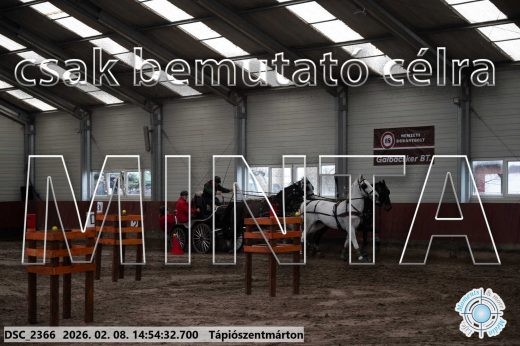 Mintakép 20260208-216