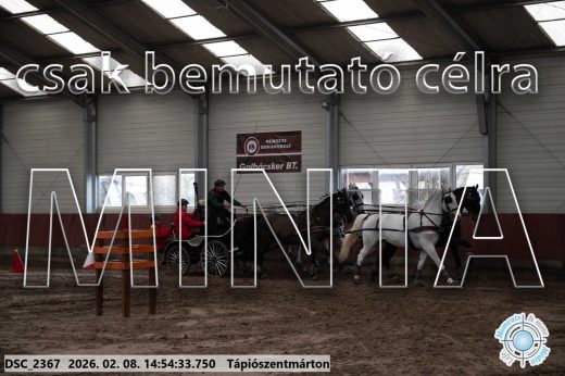 Mintakép 20260208-217