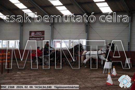 Mintakép 20260208-218