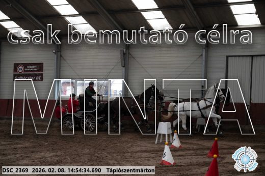 Mintakép 20260208-219