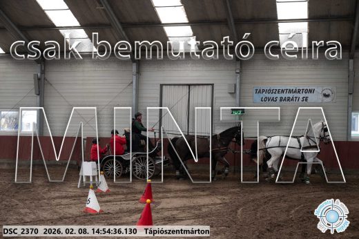 Mintakép 20260208-220