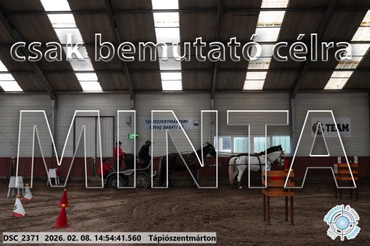 Mintakép 20260208-221