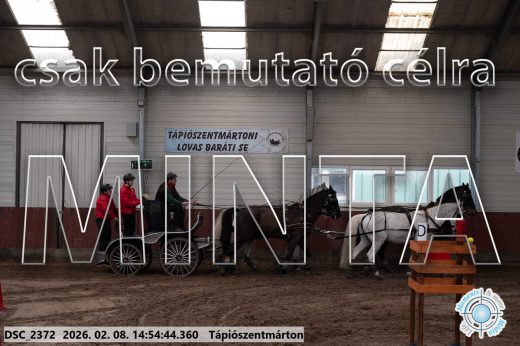 Mintakép 20260208-222