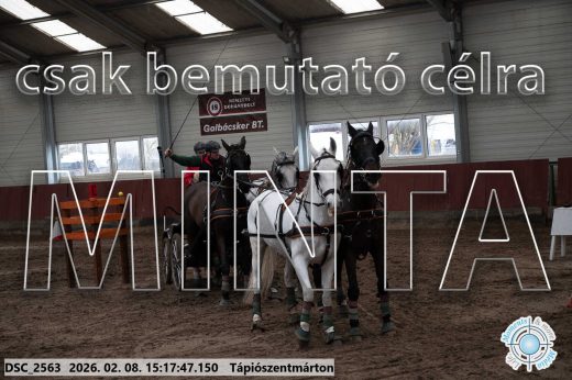 Mintakép 20260208-223