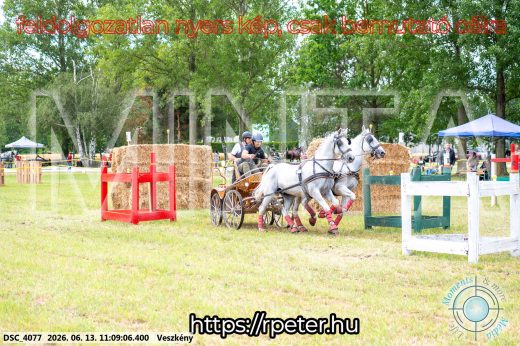 Mintakép 20260613-532