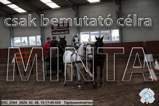 Mintakép 20260208-224
