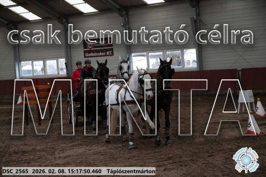 Mintakép 20260208-225