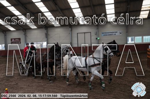 Mintakép 20260208-226