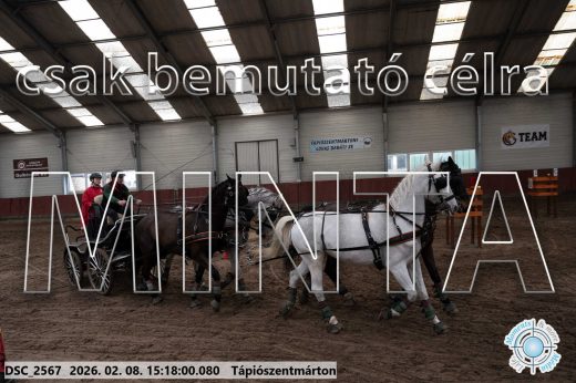 Mintakép 20260208-227