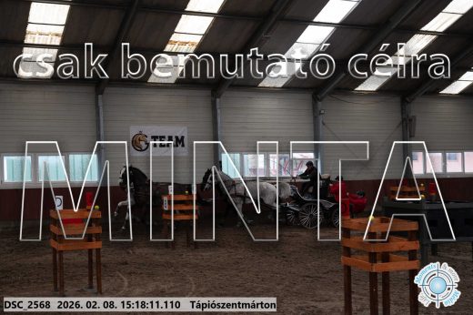Mintakép 20260208-228