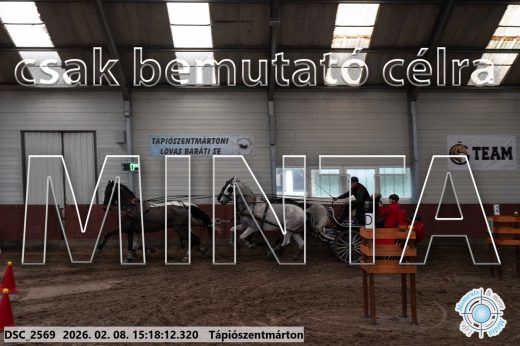 Mintakép 20260208-229
