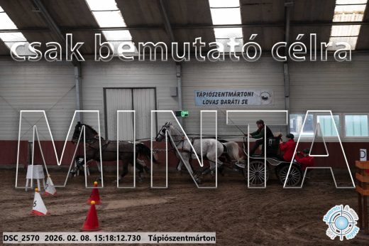 Mintakép 20260208-230