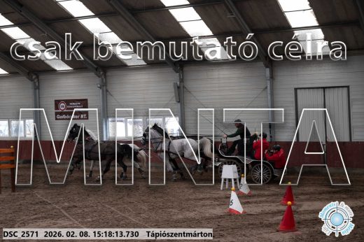 Mintakép 20260208-231