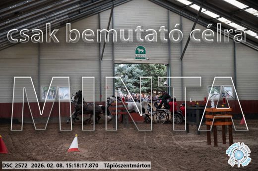 Mintakép 20260208-232