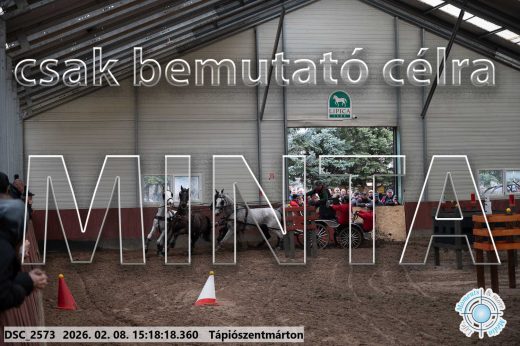 Mintakép 20260208-233