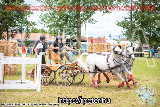 Mintakép 20260613-533