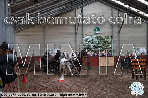 Mintakép 20260208-234