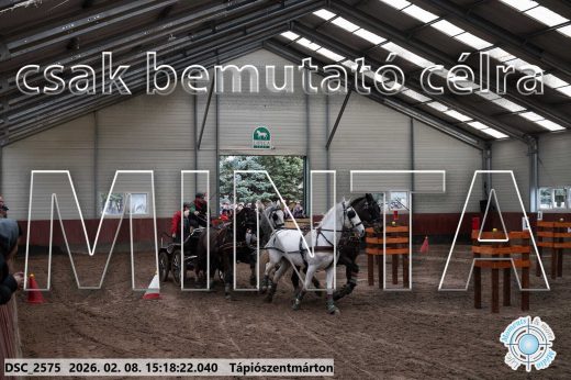 Mintakép 20260208-235