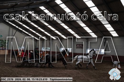 Mintakép 20260208-236